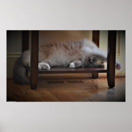 Tage, Poster
