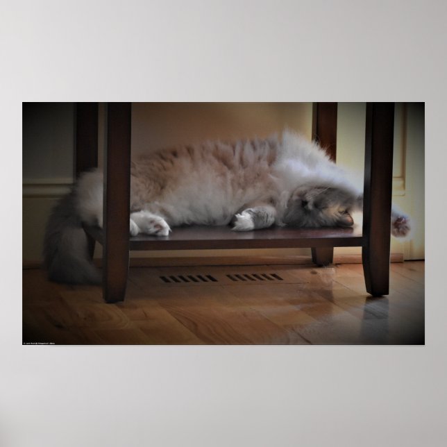 Tage, Poster (Vorne)