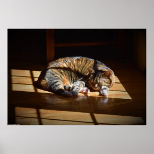 Tage, Poster