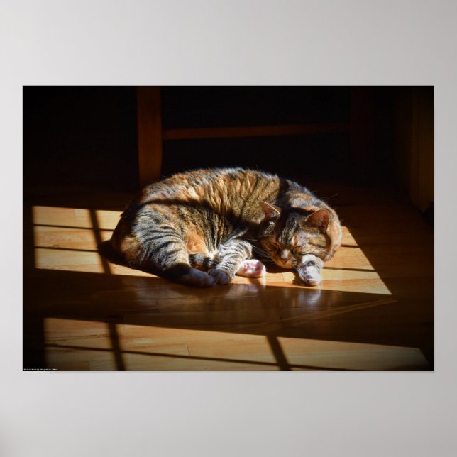 Tage, Poster (Vorne)