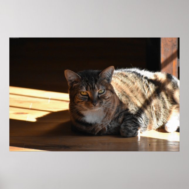 Tage, Poster (Vorne)