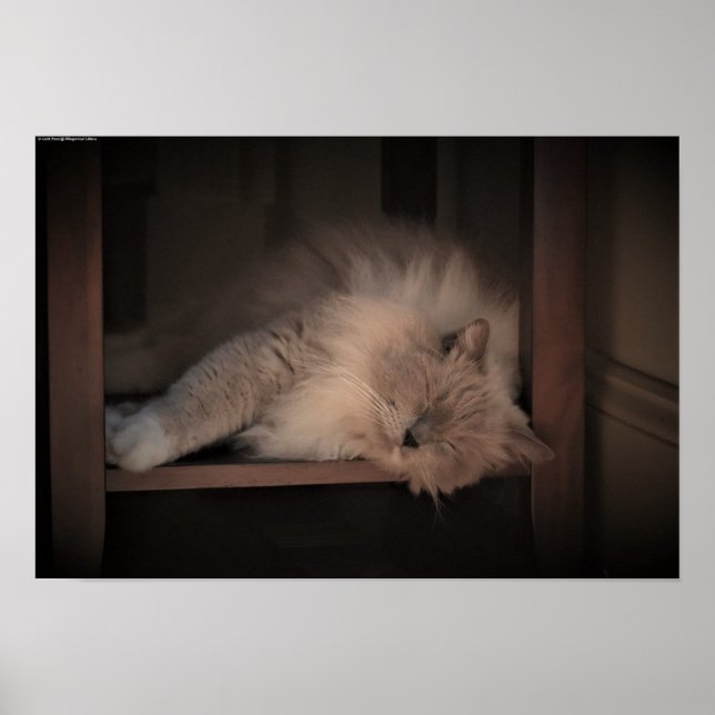 Tage, Poster (Vorne)