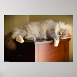 Tage, Poster