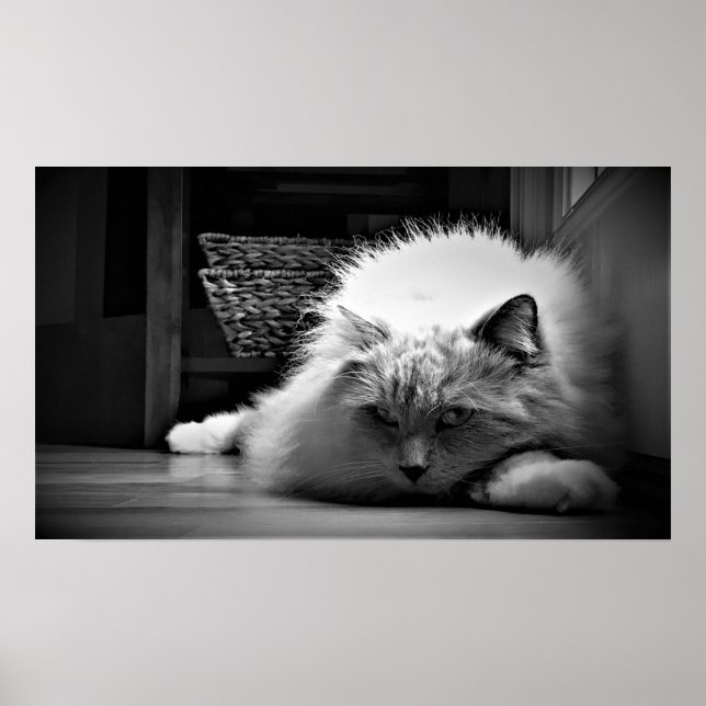 Tage, Poster (Vorne)