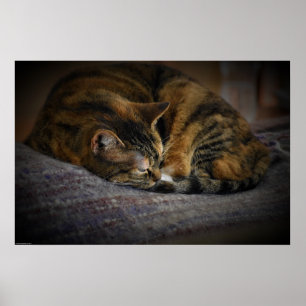 Tage, Poster
