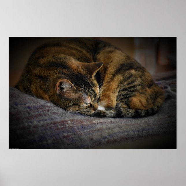 Tage, Poster (Vorne)