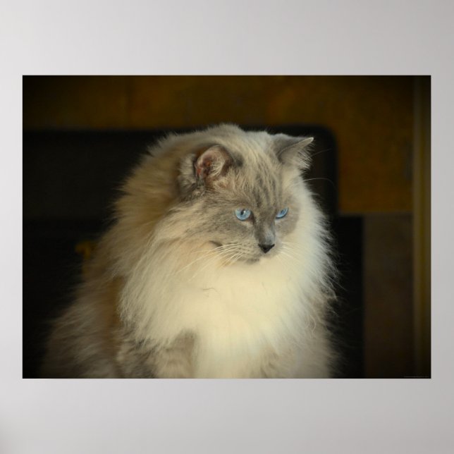 Tage, Poster (Vorne)