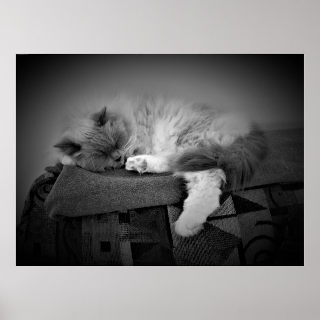 Tage, Poster (Vorne)
