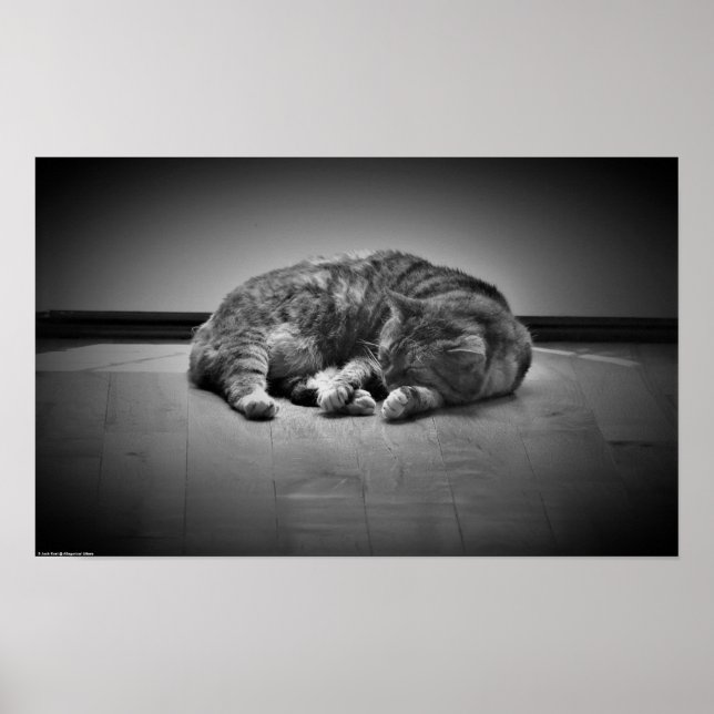 Tage, Poster (Vorne)