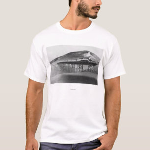 Tageslicht-begrenzte Eisenbahn über Tressel T-Shirt