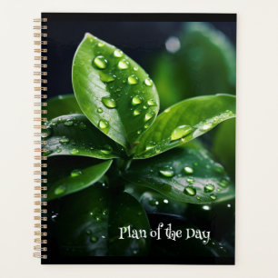 Tagesplan Planer