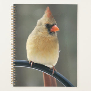 Tagesplaner für Hard Cover Planer