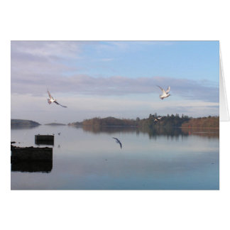 TAGESTAG, DONEGAL BAY