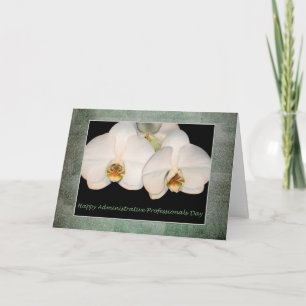 Tagesweiße Orchidee für Verwaltungsfachleute Karte