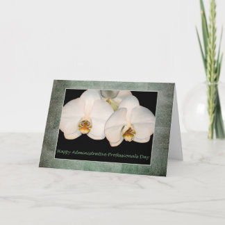 Tagesweiße Orchidee für Verwaltungsfachleute Karte