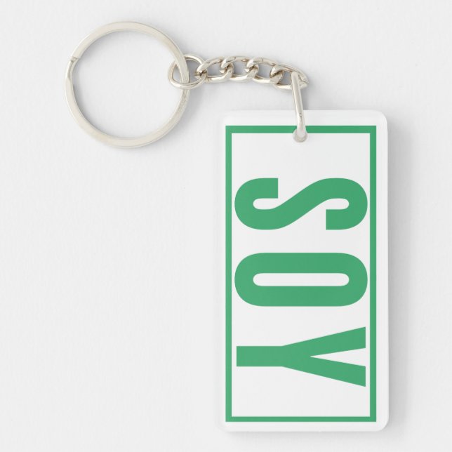 Tägliche Erinnerung Autoschlüssel Schlüsselanhänger (Vorderseite)