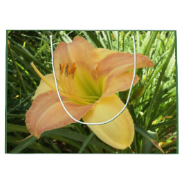 TAGLILIE "Blond Baby" - Gelb-grün-orange. Große Geschenktüte