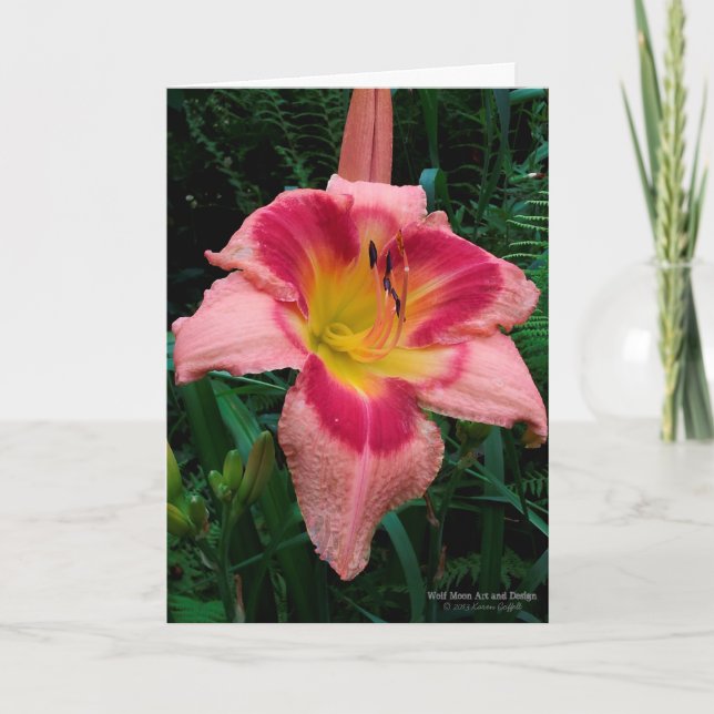 Taglilie Blume / Lilie / rosa mit rotem Auge / Karte (Vorderseite)