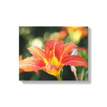 Taglilie Canvas