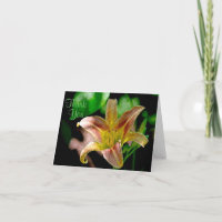 Taglilie Dankeschön Karte