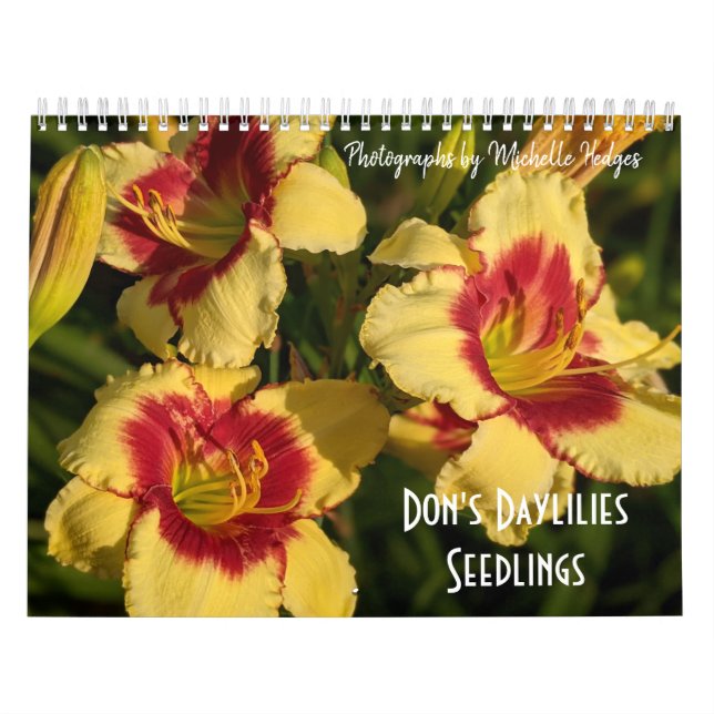 Taglilie Kalender (Titelbild)