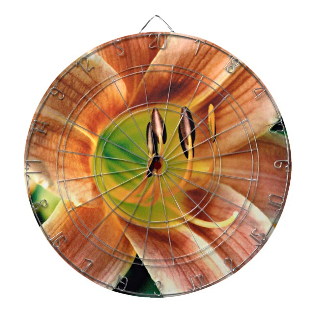 Taglilie Makro Dartscheibe (vorne)