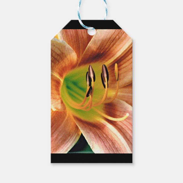 Taglilie Makro Geschenkanhänger (Vorderseite)