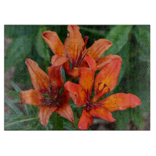 Taglilie Orange Canadian Flower Fotografy Schneidebrett