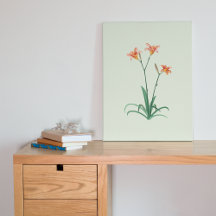 Taglilien Blume Kunstlehre Canvas drucken