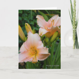 Taglilien / Creme in Pastellrosa Rosa / Karte