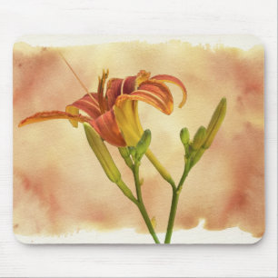 Taglilien - Hemerocallis Mousepad