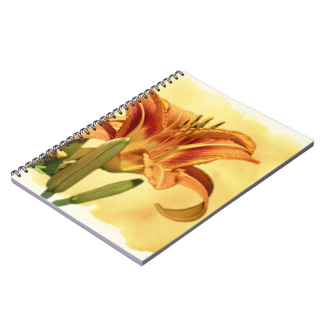 Taglilien - Hemerocallis Notizblock (Linke Seite)