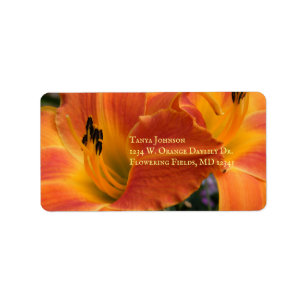 Taglilien / Hemerocallis / Orangefarbene Taglilie Adressaufkleber