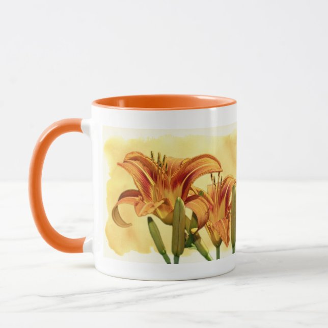 Taglilien - Hemerocallis Tasse (Links)