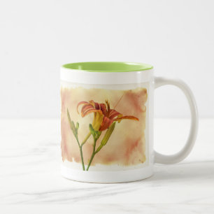 Taglilien - Hemerocallis Zweifarbige Tasse