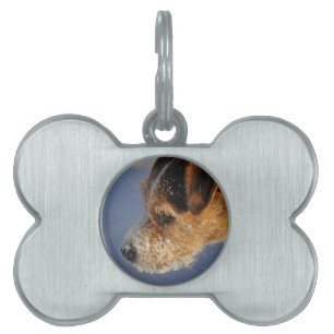 Tags für Hunde-Knochen Tiermarke