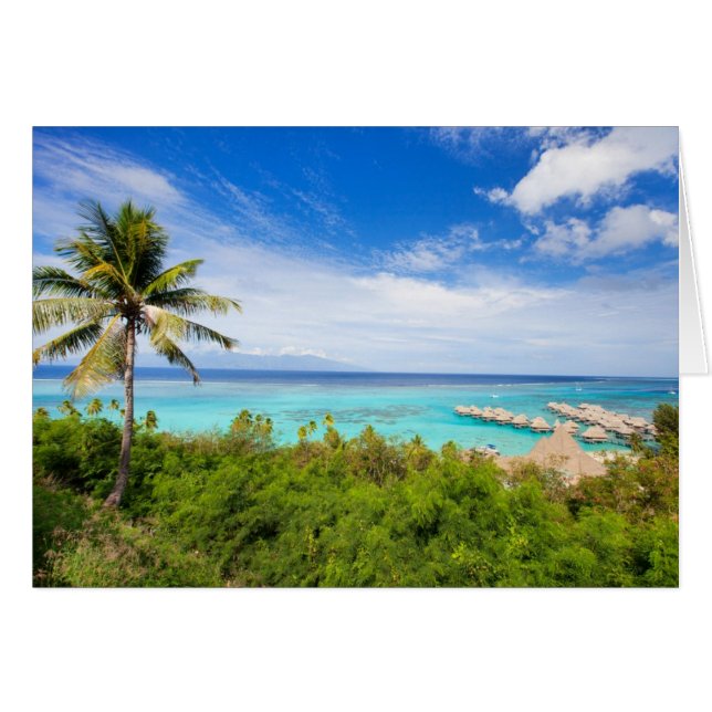 Tahiti (Devant horizontal)