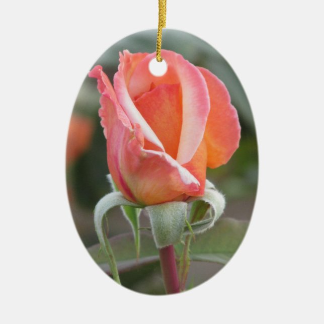 Tahitian Sonnenuntergang-Rosen-Verzierung Keramikornament (Vorne)