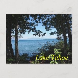 Tahoe Blue Postcard Postkarte