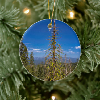 Tahoe Christmas Tree Ornament