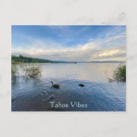 Tahoe Vibes Postcard