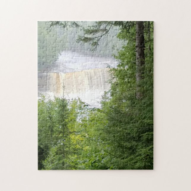 Tahquamenon Falls in Foggy Mist (Vertikal)