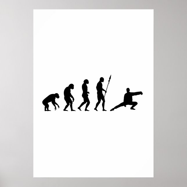 Tai-Chi-Evolution Poster (Vorne)