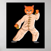 Tai Chi Instructor Tai Chi Cat