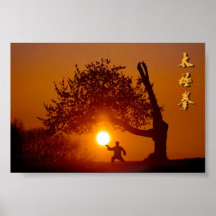 Taichi (taiji) hinlegender Baum Sonnenkirschbaum Poster