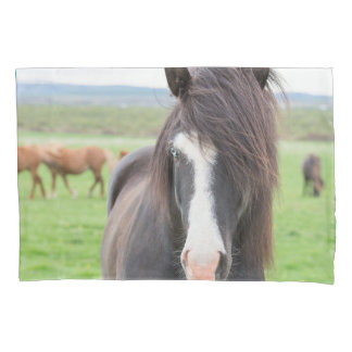 Taie d'oreiller de cheval de taille standard