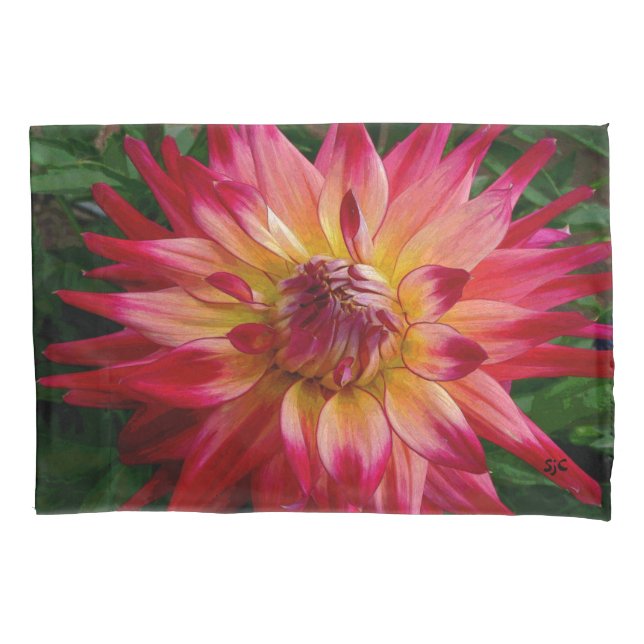 Taie d'oreiller rose lumineuse de dahlia (devant)