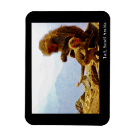 Taif, Saudi-Arabien Magnet