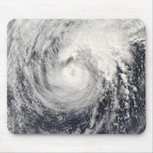 Taifun-Delphin im philippinischen Meer Mousepad
