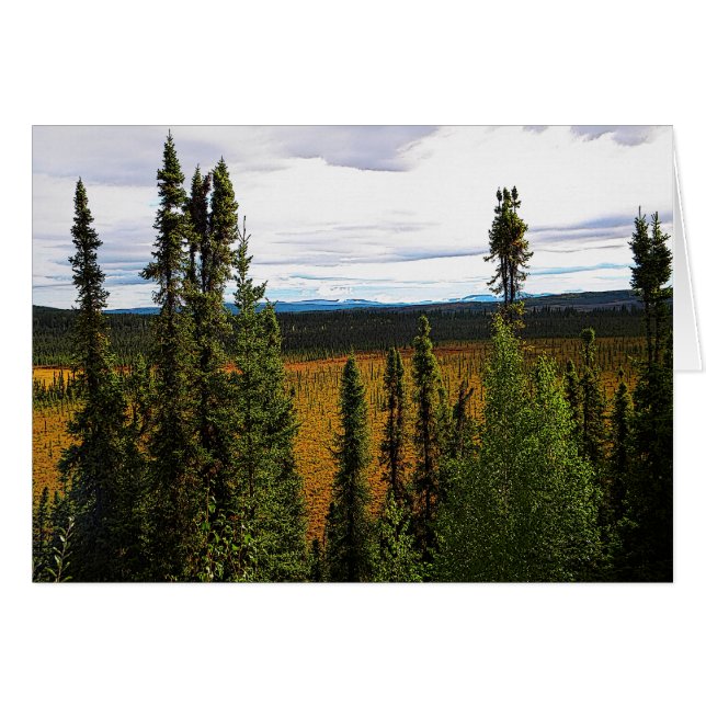 Taiga été (Devant horizontal)